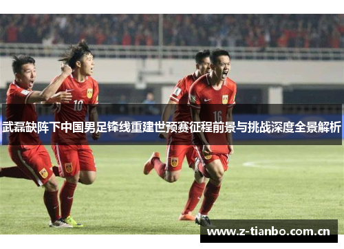 武磊缺阵下中国男足锋线重建世预赛征程前景与挑战深度全景解析